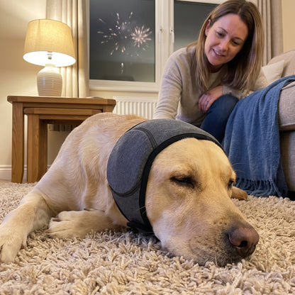 Cache-oreilles anti-bruit apaisant pour chien